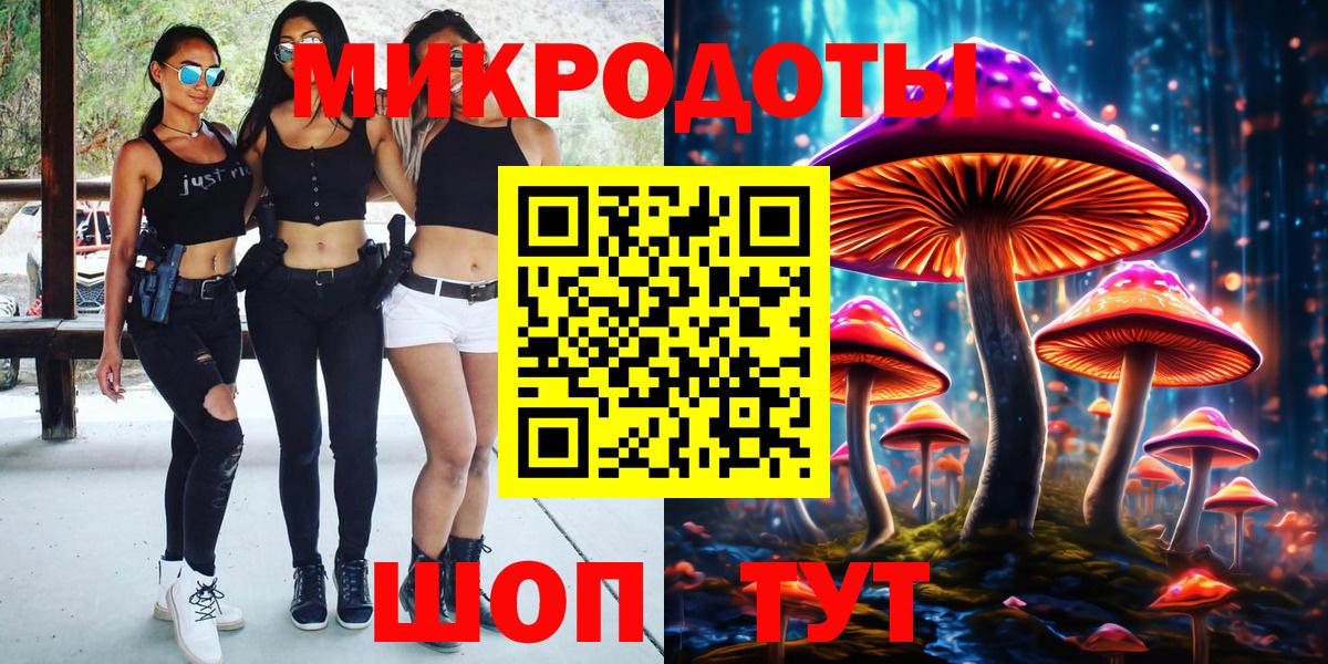 цена   Вход с VPN  Канск  Галлюциногенные грибы Psilocybine cubensis  Галлюциногенные грибы Cubensis 